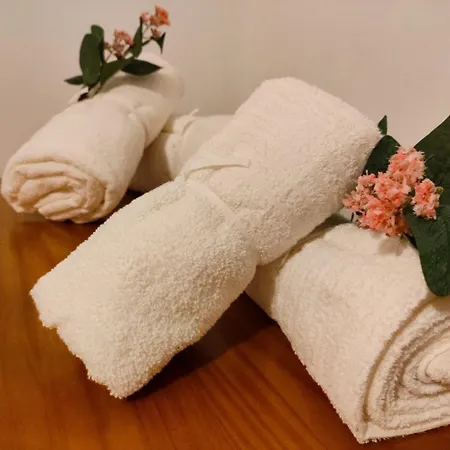 Flor De Lis * Medina de Pomar